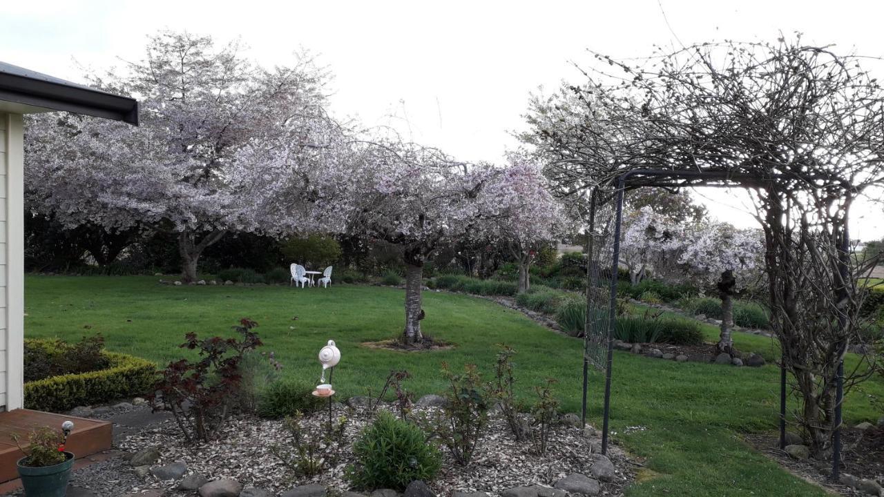 Kaimai Sunset Bed & Breakfast Matamata Exterior photo